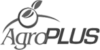 Transpacifico